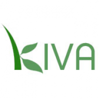 Kiva: Improving People’s Lives One Small Loan at a Time