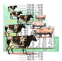 Are Commodities Futures Too Risky for Your Portfolio? Hogwash!