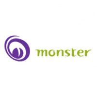 Career Crisis: Monster.com Has Choices to Make as It Approaches ’Middle Age’