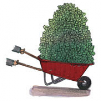 Venture Capital Firms Set Their Sights on New Ideas -- Not New Technologies