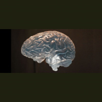 How Companies Are Increasing Neurodiversity in the Workplace