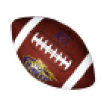 Fantasy Sports: The Players the Platforms and the Profits