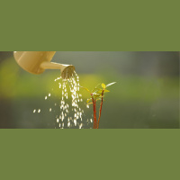 Why Nurturing Talent Will Help Companies Survive the Pandemic