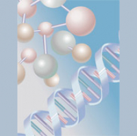 In Biotech Startups Knowledge Bridging Can Be the Key to Creativity