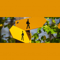 Making Good Decisions: A Toolkit