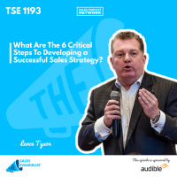 TSE 1193: What Are The 6 Critical Steps To Developing a Successful Sales Strategy?