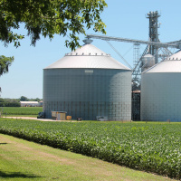 Can the US soyabean market stage a recovery this year?