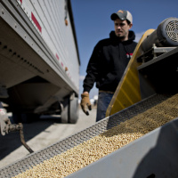 What chance for the Bayer Monsanto megadeal?