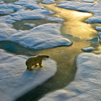 Maersk explores new Arctic Russian route