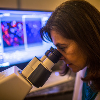 UK Biobank plays critical role in assessing global health risks