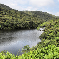 Could Bolsonaro policies speed Amazon deforestation?