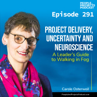 PPP 291 | It’s a Stressful Time. Here’s What You Can Do for You and Your Team, with author Carole Osterweil