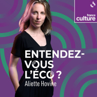 LECONOMIE EN QUESTION