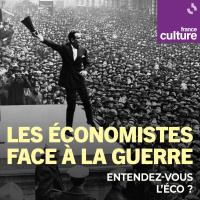Les économistes face à la guerre 2/4 : La critique marxiste de Rosa Luxemburg
