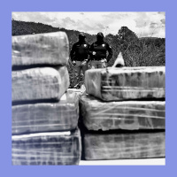 Cocaine and able: drug runners innovate