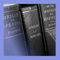 Battle of the texts: which books changed the world?