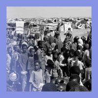 Capital gained: a grim turn in Darfur