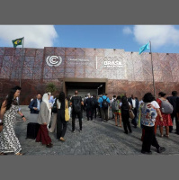 COP30: Justiça climática ainda é desafio para empresas diz diretor do Instituto Ethos