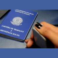 Jovens brasileiros priorizam remuneração, possibilidades de crescimento e autonomia no mercado de trabalho