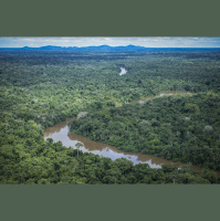Ciência e saberes tradicionais devem ser destaque na COP 30, diz reitor da UFPA