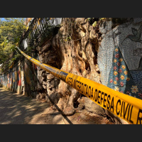 Tiroteio e barricadas em chamas em megaoperação nos complexos da Penha e do Alemão (RJ)