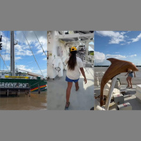 Navio do Greenpeace, Rainbow Warrior III chega a Belém para COP30 e recebe visitação do público