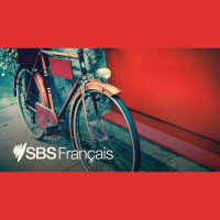 SBS French : Le LIVE du 20/11/2025