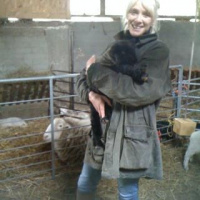 Lambing at Mudchute Park and Farm: @annareporting is there.
