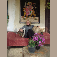 I should have really popped my clogs a long time ago...