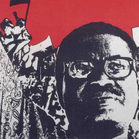 11 de Novembro de 2025 - Jornal da Manhã