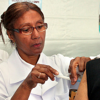 Massacre dos macacos por causa da febre amarela é preocupante