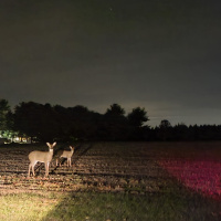 S5, The State v. Jeff Titus - Episode 10 - The Sawmill