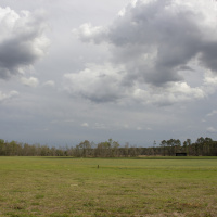 State v. Pamela Lanier – Addendum 3 – Iatrophobia