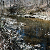 S1, The State v. Adnan Syed - Episode 4 - 28 Days