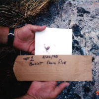 State v. Greg Lance – Episode 3 – The Heron Farm