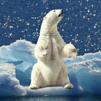 Rematch Debate: To Stop Climate Collapse, We Must End Capitalism