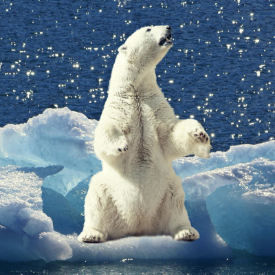 Intelligence Squared