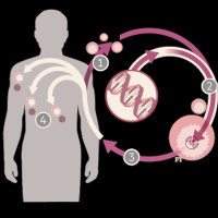 Medical science: Cancer challenge