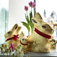 Switzerland: A new mould for chocolate 