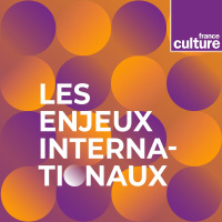 Prise dEl-Fasher au Soudan: que sait-on des crimes contre les civils ? 