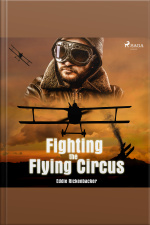 Fighting The Flying Circus