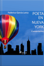 poeta En Nueva York (comentarios)