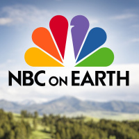 NBC on Earth: Fighting climate change with ancient trees