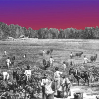 What Next | What Kids Arent Learning About US History