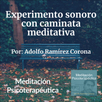 Experimento sonoro con caminata meditativa