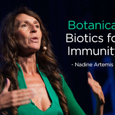 The Longevity Now Podcast