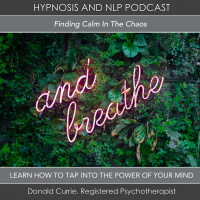 Finding Calm in Chaos