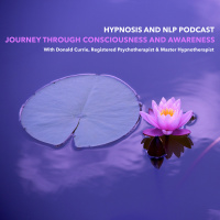 Journey Through Consciousness and Awareness