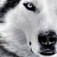 MEDITACIÓN GUIADA: REESTRUCTURACION ENERGÉTICA Y MEDITACIÓN CON SIMBOLOS ARQUETÍPICOS UNIVERSALES por Noah Capo