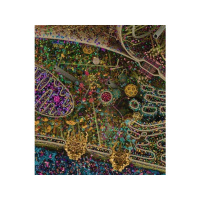 Susan Bratton - Nitric Oxide Could Hold the Key to Age-Proofing Your Body